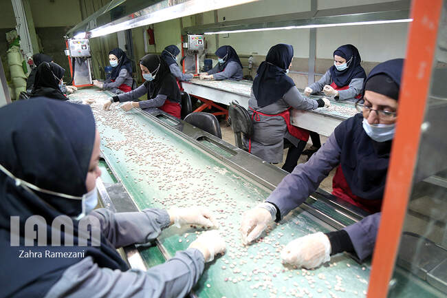 کارخانه بسته بندی مواد غذایی برتر