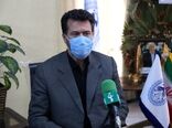 توزیع روزانه 2 هزار تن مرغ گرم و منجمد در استان تهران