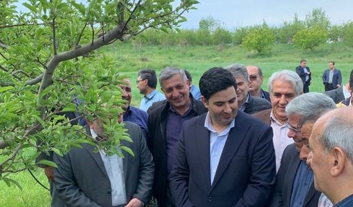 پرداخت ۹۰۰ میلیارد تومان غرامت به کشاورزان آذربایجان‌شرقی در سال گذشته
