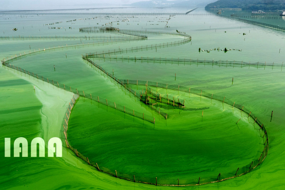 تغییر اقلیمی 