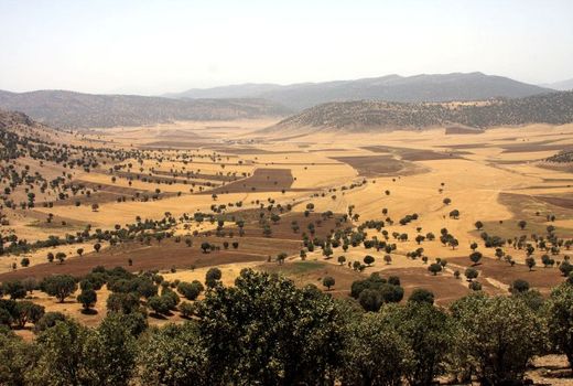 عدم وجود و اجرای مطالعات آمایش سرزمین عامل تخریب محیط زیست