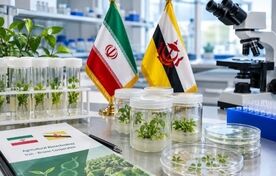 بیوتکنولوژی؛ اولویت نخست همکاری کشاورزی ایران و برونئی