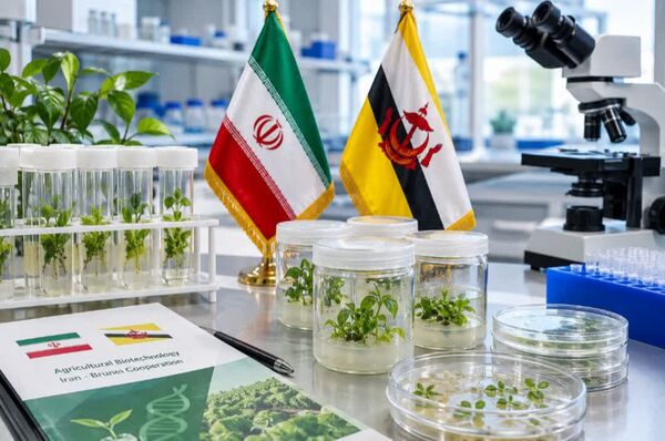 بیوتکنولوژی؛ اولویت نخست همکاری کشاورزی ایران و برونئی