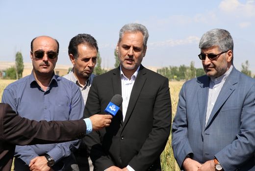 اردبیل مرکز تحقیقات تخصصی سیب زمینی در کشور می شود 