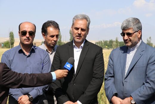 اردبیل مرکز تحقیقات تخصصی سیب زمینی در کشور می شود 