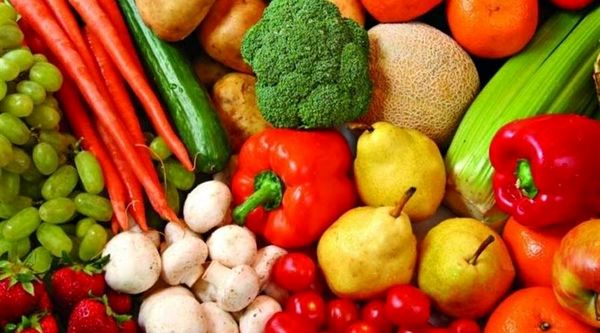 جایگزینی بستر کشت «پالم پیت» به‌جای «کوکوپیت» و «پیت ماس» 