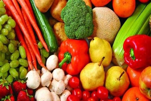 جایگزینی بستر کشت «پالم پیت» به‌جای «کوکوپیت» و «پیت ماس» 