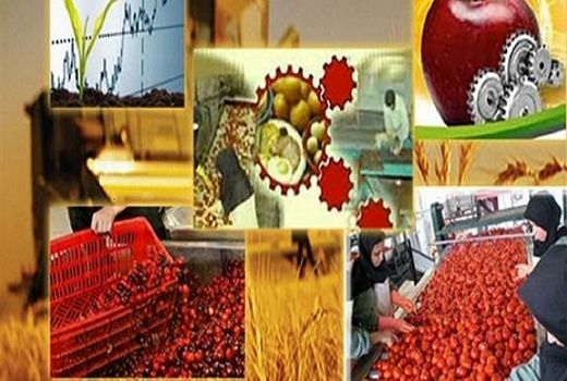 ایجاد 2510 اشتغال با توسعه و ایجاد واحدهای فرآوری در  استان زنجان