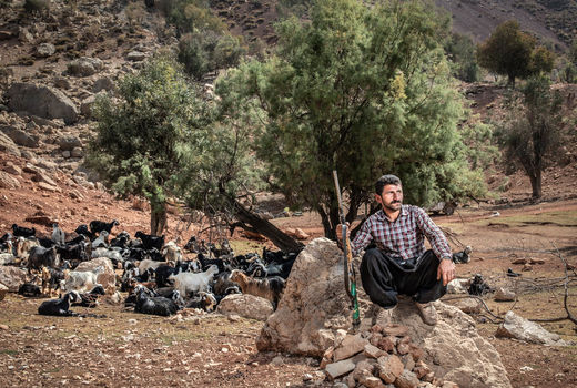 عشایر کوچ نشین ایل  بختیاری