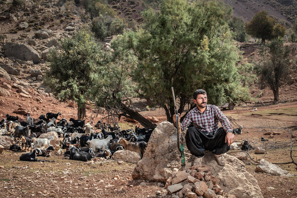 عشایر کوچ نشین ایل  بختیاری