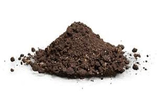 میکروارگانیسم‌ها؛ ارتش نامرئی خاک