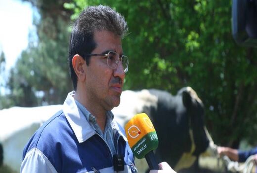 ژن‌‌های دام سنگین داخلی با یک‌دهم هزینه‌ کیفیتی همتراز نمونه‌های وارداتی دارند