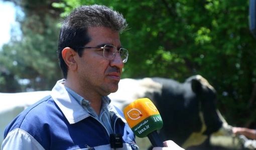 ژن‌‌های دام سنگین داخلی با یک‌دهم هزینه‌ کیفیتی همتراز نمونه‌های وارداتی دارند