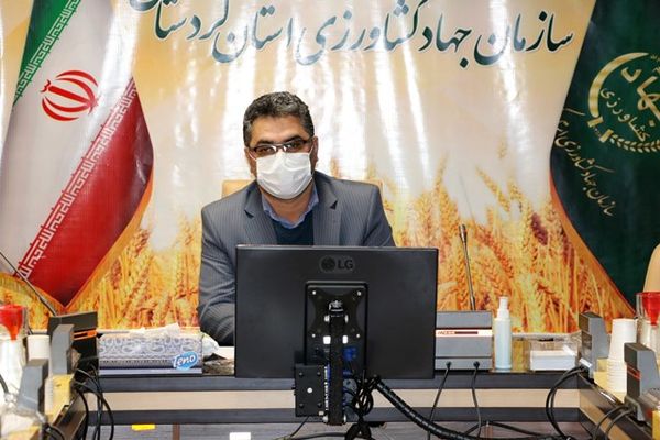 میدان بیشتری به فعالیت نیروی جوان در بخش کشاورزی می‌دهیم
