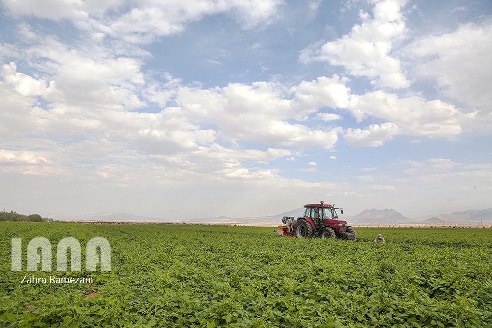 خلاقیت کشاورز خمین برای صرفه جویی آب