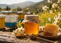 آذربایجان شرقی؛ قطب زنبورداری و فرآوری عسل کشور با بیش از یک میلیون کلنی