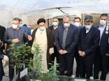 سفر وزیر جهاد کشاورزی به استان آذربایجان غربی