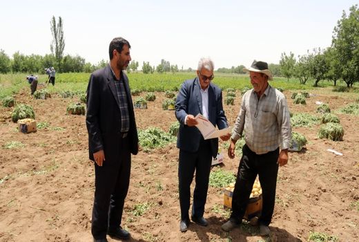 اهداء لوح تقدیر رئیس سازمان به سیب زمینی کار نمونه استانی در راستای تولید سیب زمینی سالم