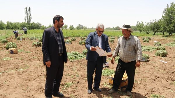 اهداء لوح تقدیر رئیس سازمان به سیب زمینی کار نمونه استانی در راستای تولید سیب زمینی سالم