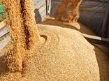 توزیع ۱۲۹ هزار تن نهاده دامی در استان اصفهان
