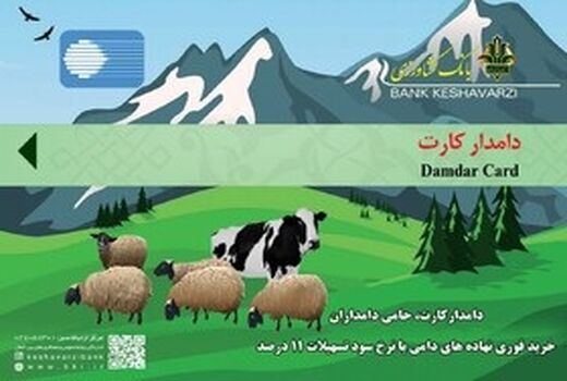 معرفی۲۱۴ بهره‌بردار بخش دامپروری در قزوین برای دریافت دامدار کارت به بانک عامل 