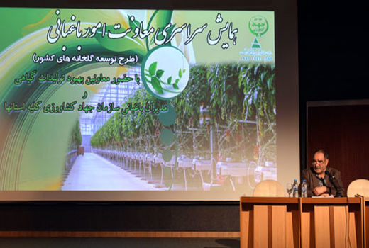  برنامه ریزی برای توسعه ۵۸۰۰ هکتاری گلخانه های کشور در سال جاری