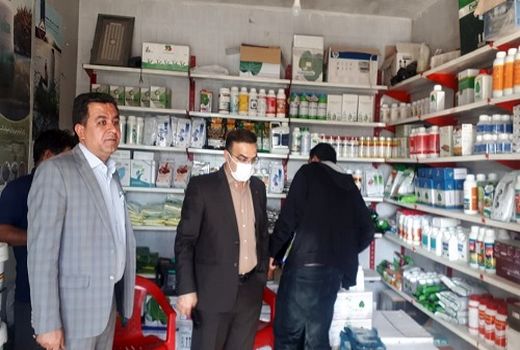 کشف بذر هویج تقلبی در فارس