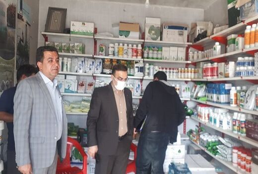 کشف بذر هویج تقلبی در فارس
