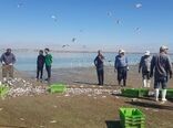 اشتغال بیش از هزار صیاد در منابع آب‌های داخلی آذربایجان غربی