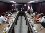 از ظرفیت‌های زیاران برای تامین گوشت تهران استفاده شود