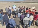 برگزاری نهمین کاروان ترویج بهره‌وری الگوی کشت ملی در پهنه‌های تولیدی فارس
