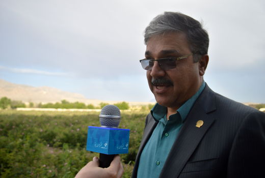 کاهش 4 هزار تنی ضایعات کشاورزی در فارس