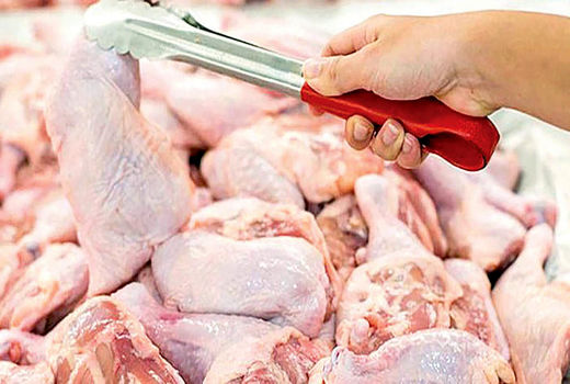 تولید گوشت مرغ در استان مازاد بر نیاز است