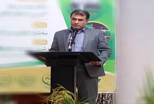 کشت بادام زمینی در ۳۰۰۰ هکتار از اراضی زراعی گیلان