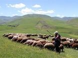 شبکه دامیاران بومی تشکیل می‌شود/ آغاز اجرای طرح ملی افزایش تولید در دامداری‌های روستایی و عشایری