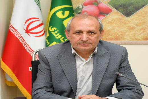 آغاز جهش سبز پسته در آذربایجان شرقی