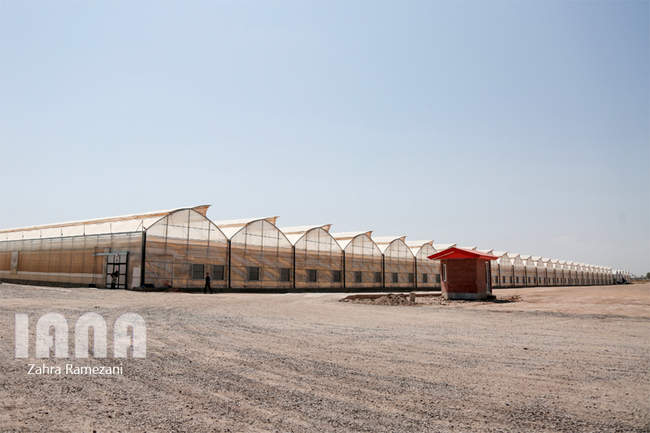 بزرگترین گلخانه هیدروپونیک