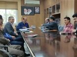 ۴۰ درصد ظرفیت های بخش کشاورزی ایلام فعال است