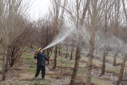 مزایای مبارزه شیمیایی زمستانه در سربیشه