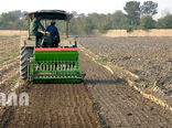 ضریب مکانیزاسیون کشاورزی تا پایان سال به ۲ اسب بخار در هکتار می‌رسد