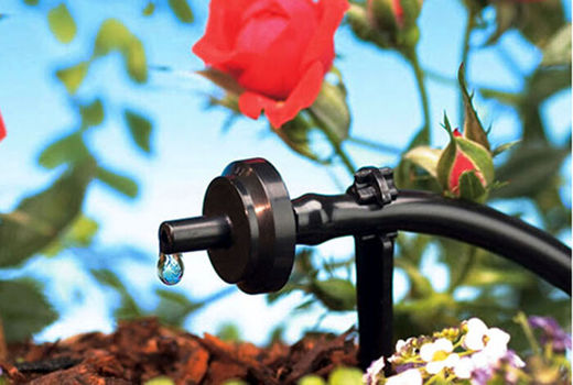 کردستان پیشگام آبیاری نوین