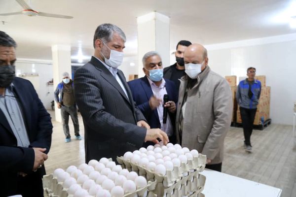 توسعه کشت گیاهان دارویی، گلخانه ها و دامپروری اولویت‌های وزارت جهاد کشاورزی در استان یزد