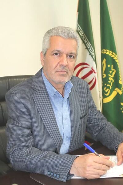 پیش‌بینی تولید بیش از 656 هزار تن گندم در سطح استان همدان