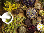 زنجیره ارزش گیاهان دارویی ساماندهی و توسعه می‌یابد/ تاکید بر تشکیل کمیته فنی بذر