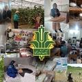 اعتبارطرح بانکداری پیوندی در بانک کشاورزی به 10 هزار میلیارد ریال رسید