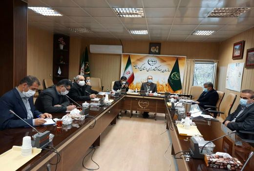 کمیته نظارت بر عرضه مرغ مرغدار ها به کشتارگاه، تشکیل  میشود