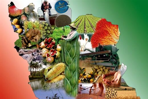 مهمترین اقدامات 100 روزه وزارت جهاد کشاورزی در دولت سیزدهم