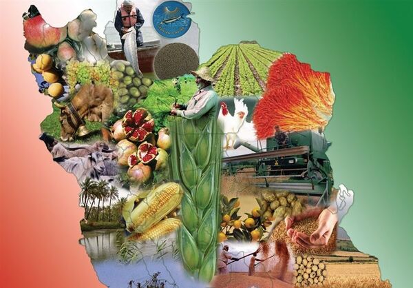 مهمترین اقدامات 100 روزه وزارت جهاد کشاورزی در دولت سیزدهم 