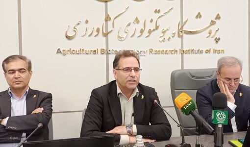 اختصاص ۱۲ میلیارد تومان برای اجرای ۹ طرح کلان مسئله‌محور 