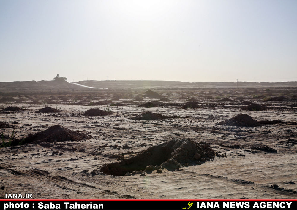  مقابله با بیان زایی